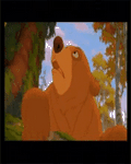 pic for Brother Bear